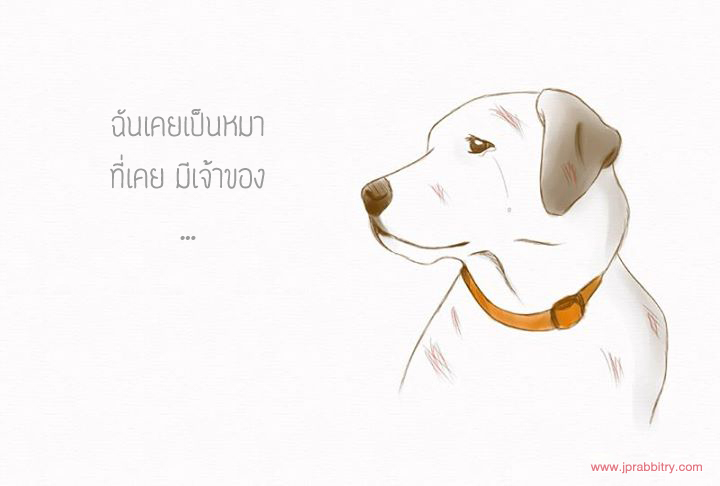dogthink_jp